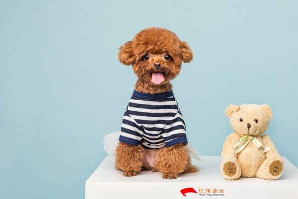 疫情期間香港商品如何轉運到四川攀枝花呢？